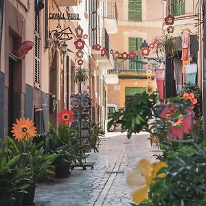 Hotel Ca's Cuscanti, Soller